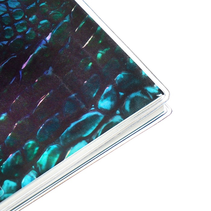 Еженедельник датир 2025г 180х127мм мягк обл ПВХ 64л ESCALADA ЗМЕЯ ЗЕЛЁНАЯ, кр бл 70 г/м² Еженедельник датир 2025г 180х127мм мягк обл ПВХ 64л ESCALADA ЗМЕЯ ЗЕЛЁНАЯ, кр бл 70 г/м²