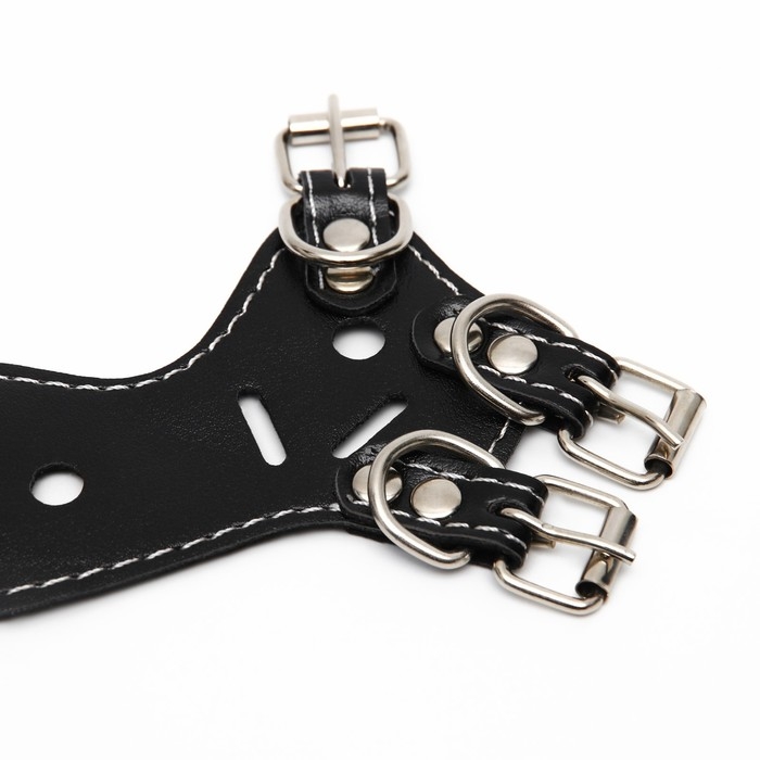 Намордник из прессованной кожи регулируемый, №1, ДН 4,5 см, ОМ 13-20 см, чёрный Намордник из прессованной кожи регулируемый, №1, ДН 4,5 см, ОМ 13-20 см, чёрный