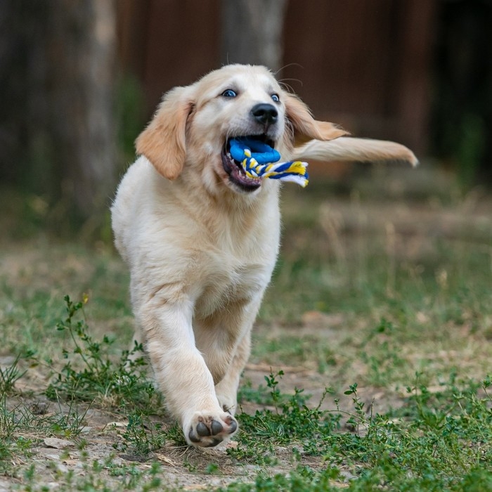 Игрушка Игрушка "Сердечко с канатом", 7 см, голубое