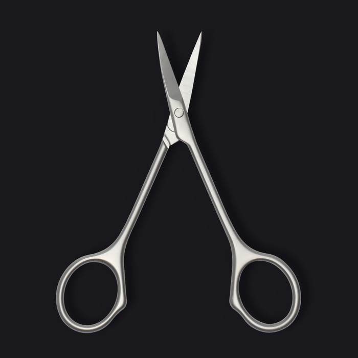 Ножницы маникюрные «Premium», узкие, загнутые, 10,5 см, на блистере, цвет матовый серебристый Ножницы маникюрные «Premium», узкие, загнутые, 10,5 см, на блистере, цвет матовый серебристый