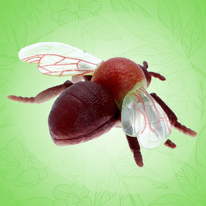 Набор насекомых «Лесные», 5 штук Набор насекомых «Лесные», 5 штук