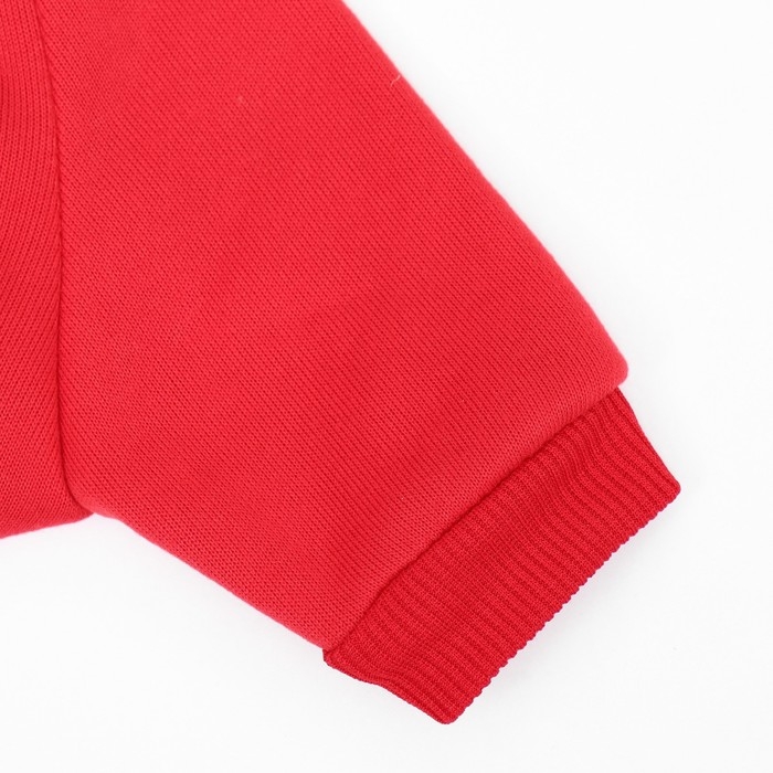 Кофта новогодняя для животных Кофта новогодняя для животных "Подарок", размер S (ДС 20, ОГ 32 см), красный