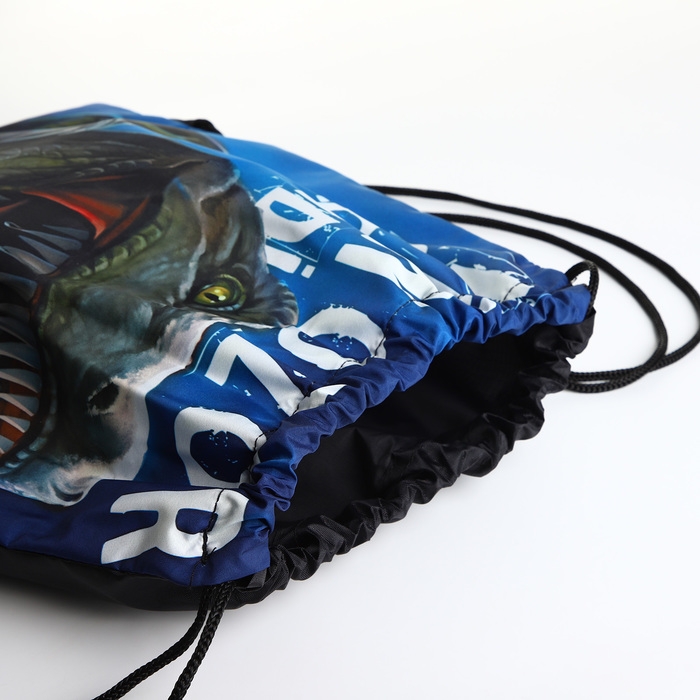 Мешок для обуви на шнурке, цвет чёрный/синий Мешок для обуви на шнурке, цвет чёрный/синий