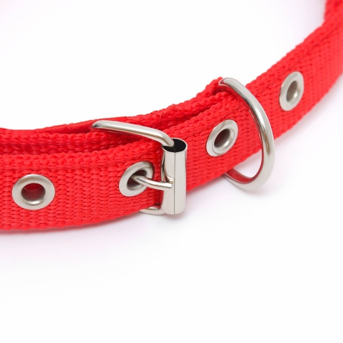 Ошейник Ошейник "Комфорт" комбинированный, 45 х 2 см, ОШ 30-39 см, красный