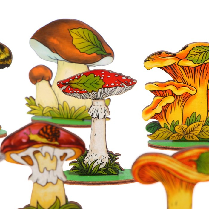 Набор «Грибы на подставке» в деревянной коробке, 36 деталей Набор «Грибы на подставке» в деревянной коробке, 36 деталей