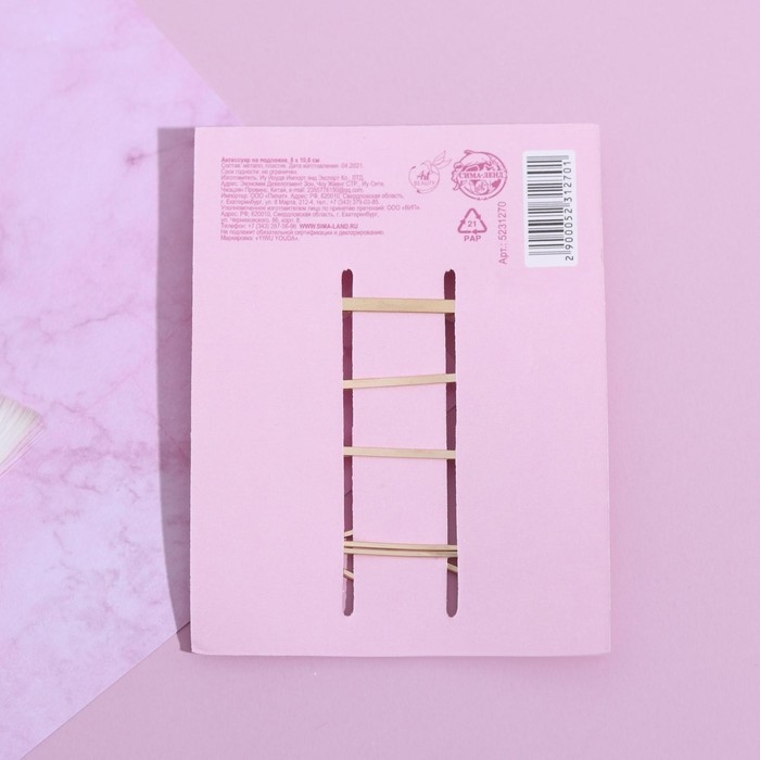 Заколки для волос «Украшай мир собой», 8 х 10,6 см Заколки для волос «Украшай мир собой», 8 х 10,6 см