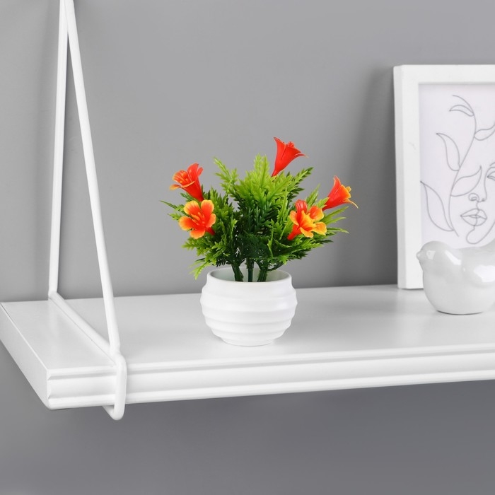 Бонсай в горшке Бонсай в горшке "Годеция монарх" 5,5х10 см, микс