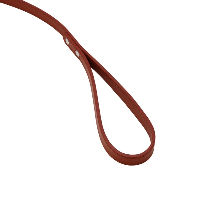 Поводок  Поводок "Основа" 120 х 1,5 см, коричневый