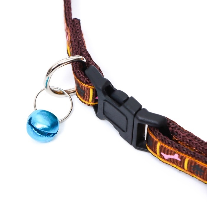 Ошейник двухслойный с фастексом Ошейник двухслойный с фастексом "Косточки и лапки", 30 х 1 см, коричневый