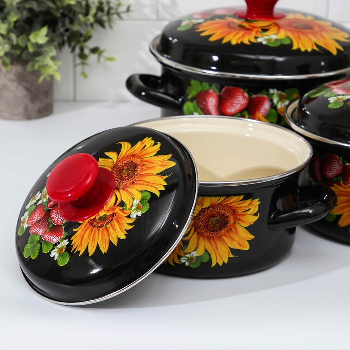 Набор кастрюль &laquo;Даша-1&raquo;, 3 предмета: 1,5 л, 2,3 л, 3 л, индукция