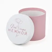 Набор подарочных коробок, упаковка, 5 в 1 &laquo;Нежность&raquo;, 14&times;13 ‒22&times;19.5 см