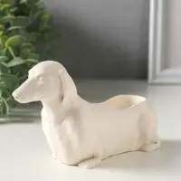 Подставка для мелочей &laquo;Такса&raquo;, 10&times;15&times;5 см, гипс