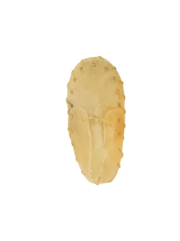 Лакомство для собак &laquo;Вкусные ботинки&raquo;, 13.5 см (уп.1 шт.), серия DENTAL