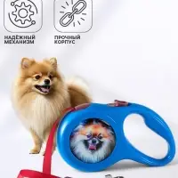 Рулетка с принтом &laquo;Милашка&raquo;, 3 м, вес животного до 12 кг, синяя