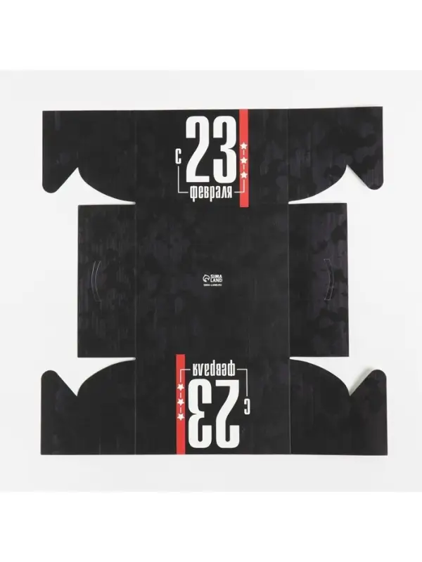 Коробка для капкейков, кондитерская упаковка с пластиковой крышкой, 4 ячейки &laquo;23 февраля&raquo;, 16&times;16&times;10 см