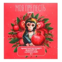 Аромасаше &laquo;Моя прелесть&raquo; гранат, 10 г