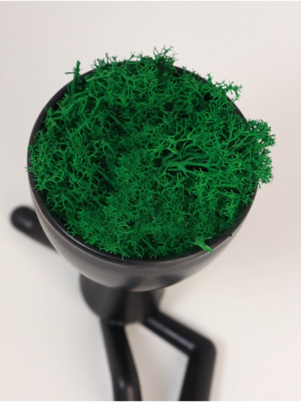 Кашпо пластиковое "Мистер Грин на чиле" 10*10,5*7,3 см черный