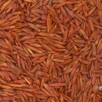 Газонная травосмесь для быстрого восстановления газона POWERSEED, 1 кг