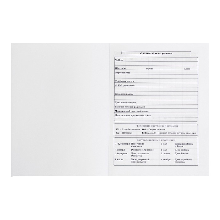 Дневник для 5-11 классов, 48 листов "Японский котик", твёрдая обложка, выборочный лак, блок офсет