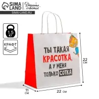 Пакет подарочный, упаковка, &laquo;Красотка&raquo;, 22&times;22&times;11 см