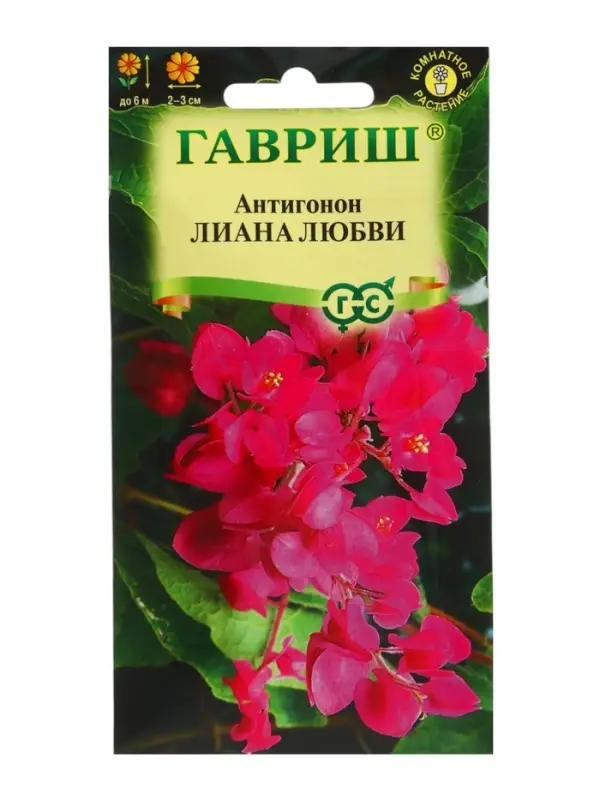 Семена цветов Антигонон &laquo;Лиана любви&raquo;, 5 шт., многолетник, &laquo;Гавриш&raquo;