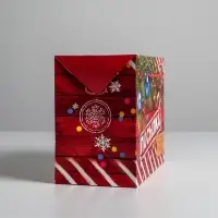 Пакет‒коробка подарочный &laquo;Новогодняя посылка&raquo;, 28&times;20&times;13 см