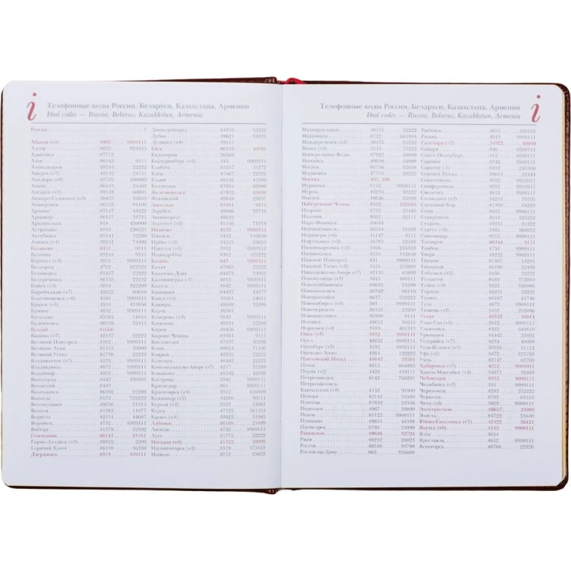 Ежедневник недатированный коричнев,А5,145х205,136л,Sidney NEBRASKA 3-128/03