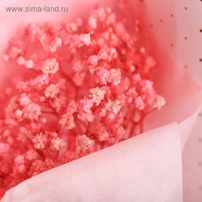 Букет из сухоцветов Shine bright, 13×21×5 см Букет из сухоцветов Shine bright, 13×21×5 см