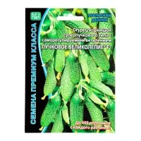 Семена огурец &laquo;Пучковое великолепие F1&raquo;, скороспелый, пучковый, партенокарпический, 5 шт.