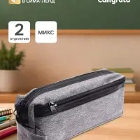 Пенал школьный на молнии Calligrata &laquo;Джинс&raquo;, 2 отделения, МИКС
