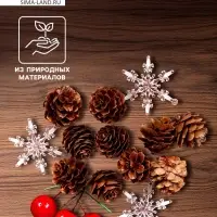 Новогодний декор &laquo;Шишки со снежинками&raquo;, набор