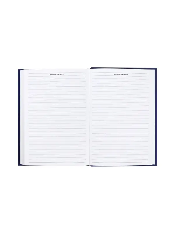Ежедневник недатированный А5, 160 листов, обложка бумвинил, синий