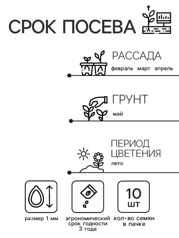 Семена цветов Колеус Визард Роуз, 10шт Семена цветов Колеус Визард Роуз, 10шт