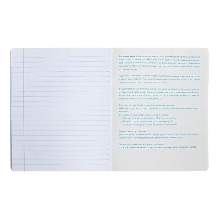 Тетрадь предметная "Яркая цветная", 48 листов в линию "Для сочинений", обложка мелованный картон, выборочный лак, со справочным материалом