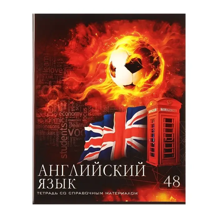 Тетради предметные Calligrata &laquo;Футбол&raquo;, 10 предметов, 48 листов, со справочным материалом, обложка из мелованного картона, блок офсет
