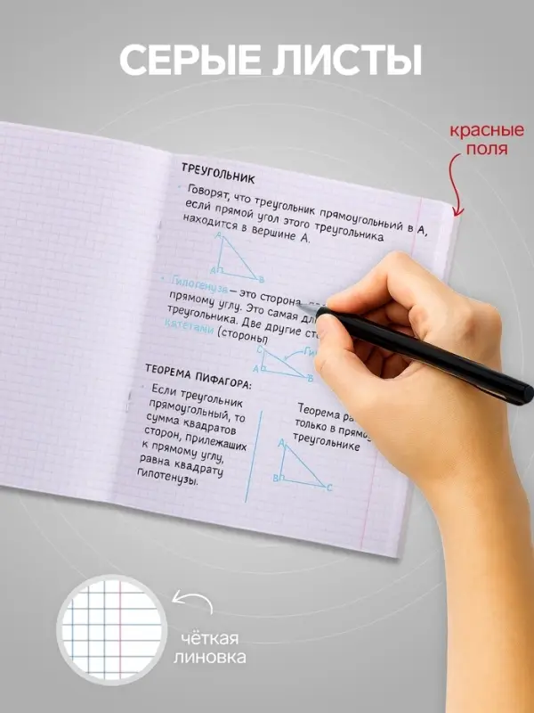 Тетрадь 96 листов в клетку, Calligrata Notebook, МИКС