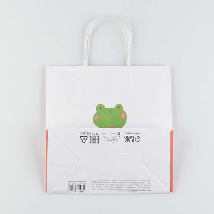 Пакет подарочный, упаковка, «Просто будь», 22 х 22 х 11 см Пакет подарочный, упаковка, «Просто будь», 22 х 22 х 11 см