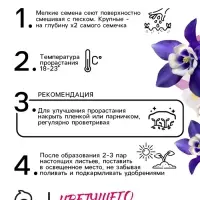 Семена Аквилегия Мак Кана Джиант 0.1г*