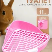 Туалет угловой для кроликов и хорьков "Пижон", 24 х 18 х 11 см, розовый Туалет угловой для кроликов и хорьков "Пижон", 24 х 18 х 11 см, розовый