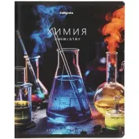 Комплект 12 предметных тетрадей 48 листов, справочная информация, 60гр, Моменты