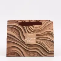 Пакет подарочный с широким дном &laquo;Подарок&raquo;, 25 &times; 19 &times; 18 см