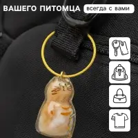 Брелок - обвес на сумку для шерсти кошачьей на тросе для ключей, рюкзака &laquo;Полосатый котик&raquo;, капсула с секретом, трос d=5.2 см, 2.4&times;3&times;4.5 см