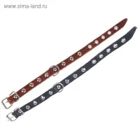 Ошейник тисненый однослойный, 31&times;1.2 см, украшенный, кожа, цвет МИКС