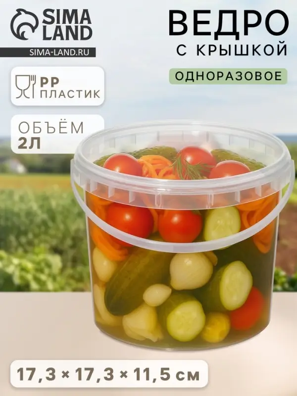 Ведро одноразовое с крышкой, пластик, 2 л, d=17.3 см, пищевое, прозрачное Ведро одноразовое с крышкой, пластик, 2 л, d=17.3 см, пищевое, прозрачное