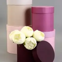 Набор круглых коробок 5 в 1&laquo; Лаванда&raquo;, 20&times;20 - 15&times;15