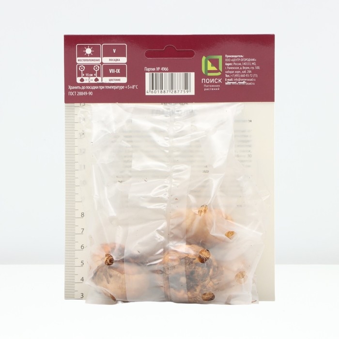 Гладиолус гофрированный «Лемон Три», луковица цветов в пакете с перфорацией, р-р 12/14, 5 шт.