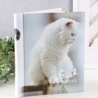 Фотоальбом 10 магнитных листов "Белый котенок" 23X28см, пер-т внутр.спираль Фотоальбом 10 магнитных листов "Белый котенок" 23X28см, пер-т внутр.спираль