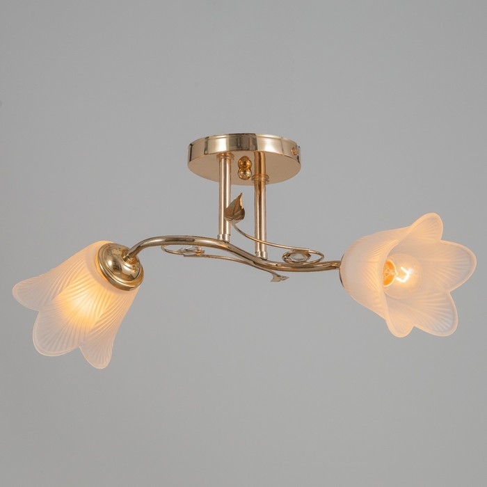 Люстра Люстра "Олана" 2хЕ27 40Вт золото 43х27х18 см BayerLux