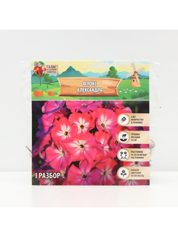 Флокс «Александра» корневище в пакете с торфогрунтом, р-р I, 2 шт.