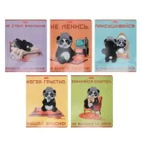 Тетрадь 48л кл Hatber "Мудрая панда", на скобе, скругл углы, 60-65г/м&sup2; 5В МИКС